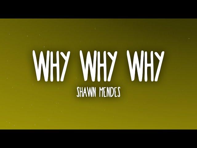 Shawn Mendes - Why Why Why