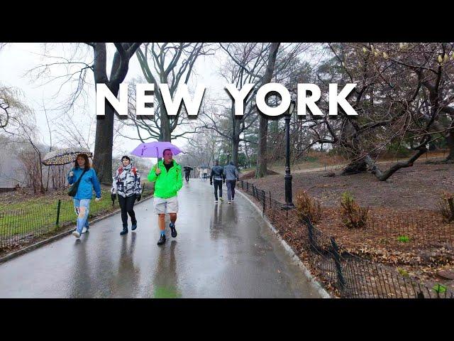 New York Rain Walk [4K] Central Park