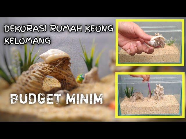 DEKORASI RUMAH KELOMANG | My Crabitat Set Up