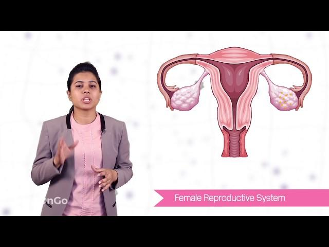 How do Organisms Reproduce -12 | Female reproductive organ | CBSE Class 10