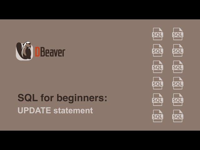 SQL for beginners: UPDATE statement