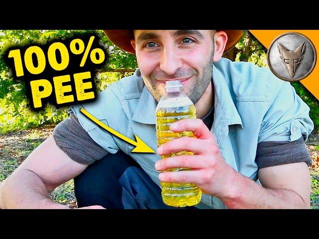 Can PEE Cure Ant Stings?!