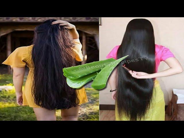 Unbelievable Japanese Secret ! Aloe Vera A Magical Recipe For Hair Growth Naturally At Home