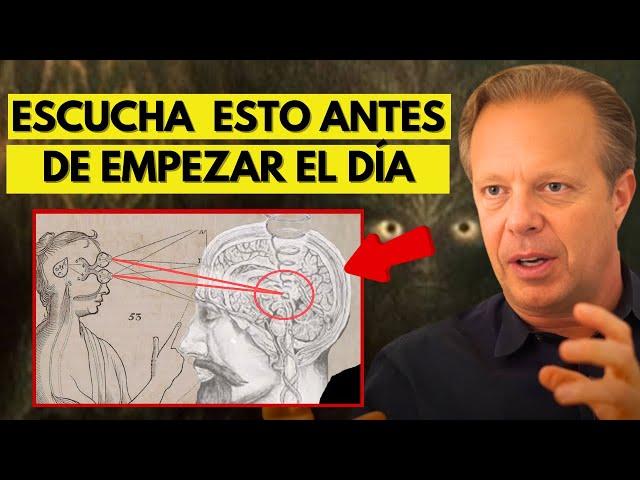 Joe Dispenza: "ANTES DE PENSAR DEMASIADO, MIRA ESTO.." (Utilícelo para lavarte el cerebro)