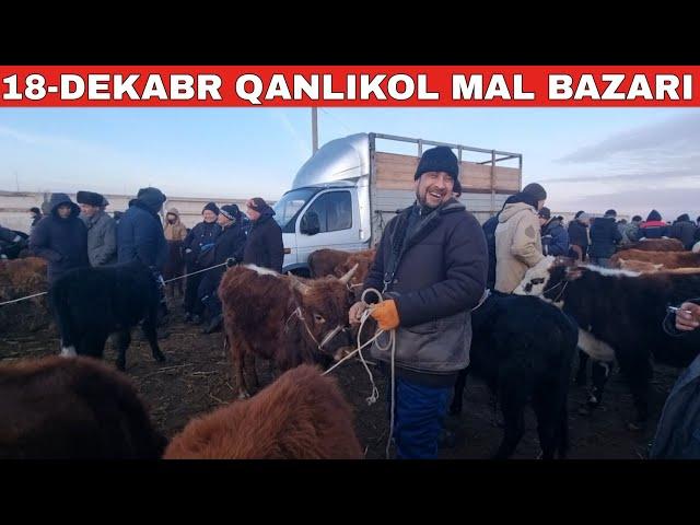 18-ДЕКАБРЬ/КАНЛЫКОЛ МАЛ БАЗАРЫ/СКОТНЫЙ РЫНОК/BUQALAR/BIG BULLS IN THE WORLD/BIG COW