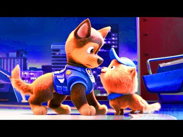 The Cutest Dogs from Paw Patrol 2  4K