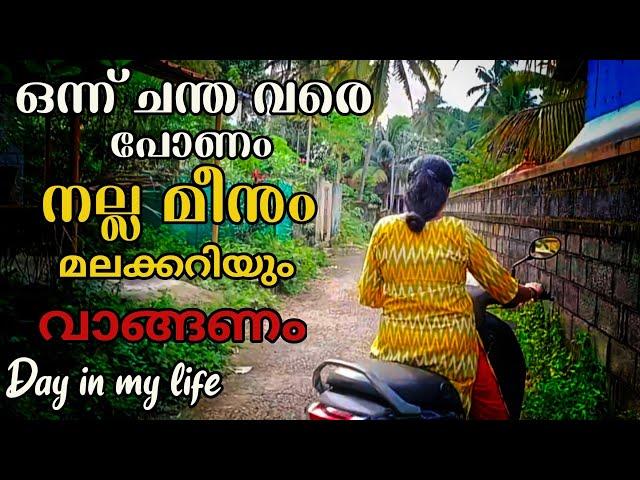 100രൂപയുടെ മീനു കണ്ട് സത്യം പറഞ്ഞാൽ കണ്ണ് തള്ളിപ്പോയി.. dayinmylifemalayalam