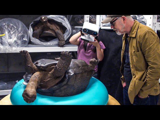 How Giant Tortoises are 3D Scanned!