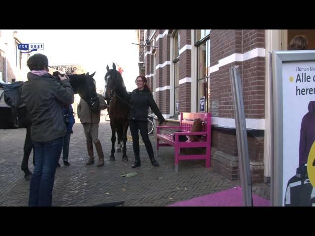 Het paard versus de auto in Ommen