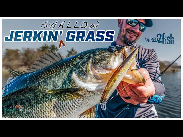 How to Fish Jerkbaits for Bass Around Grass