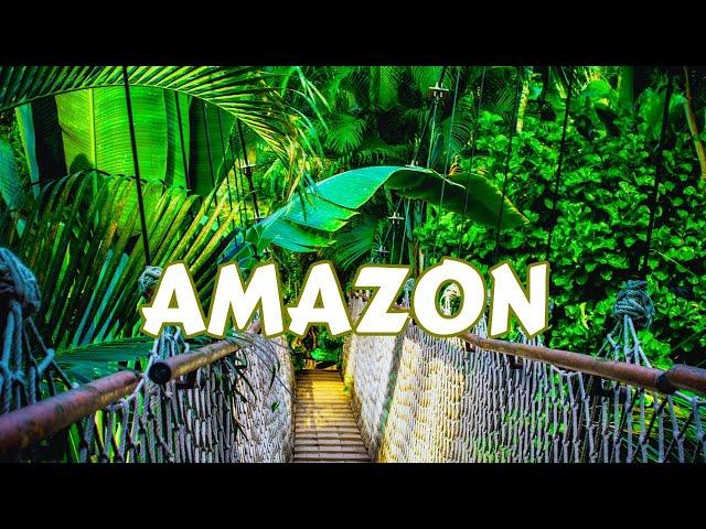 Top 10 Places to discover In Amazon in 2024 / Travel Video.