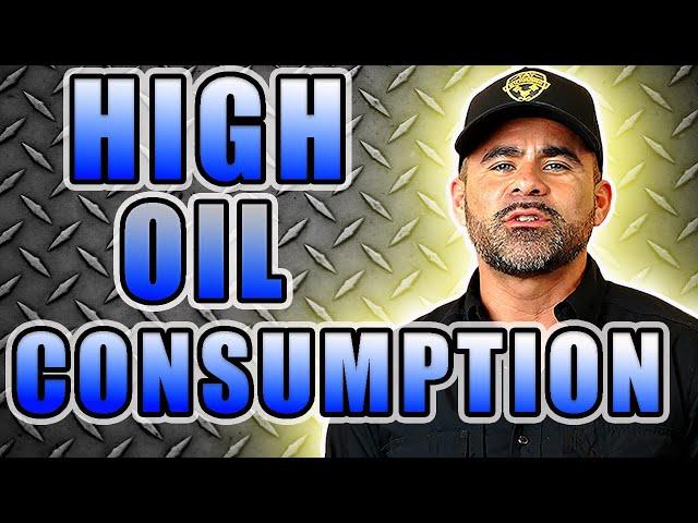 High Oil Consumption. High Engine Oil Consumption Causes. Causes of High Oil Consumption.