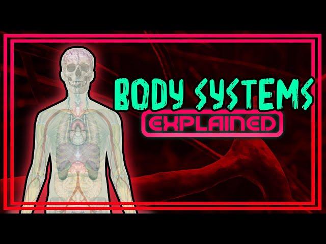 Body Systems Explained!