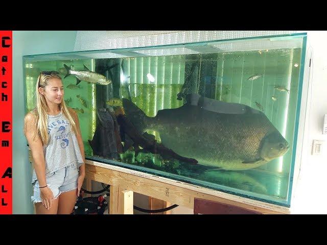 FISH TOO BIG to keep in HOME AQUARIUM!