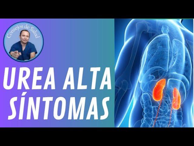 Urea alta síntomas y dieta  (VIDEO 28)