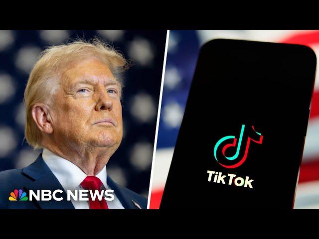 Trump asks Supreme Court to pause law that could ban TikTok