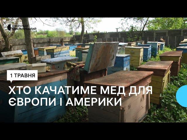 На Хмельниччині експортери меду через війну зменшили обсяги