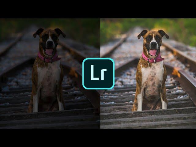 How To Pop Up Colors In Adobe Lightroom Cc..Portrait Photo Editing In Adobe Lightroom Cc