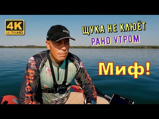 Миф: Щука не клюёт рано утром!