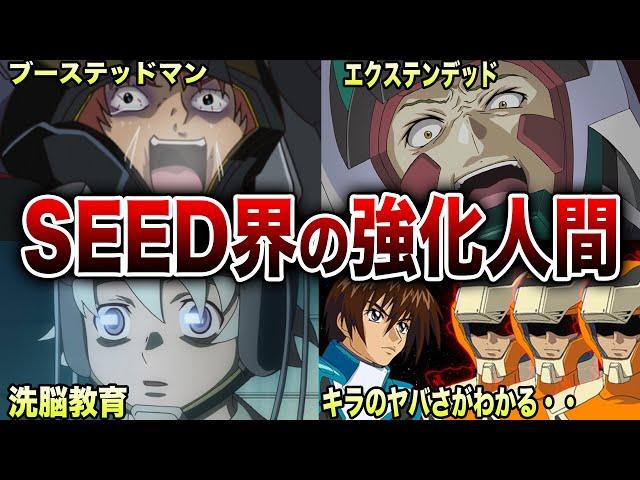 How to win over the Cordinators] What is the Enhanced Human in the SEED world [Gundam SEED]