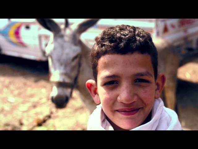 A Day In The Life Of An Egyptian Village