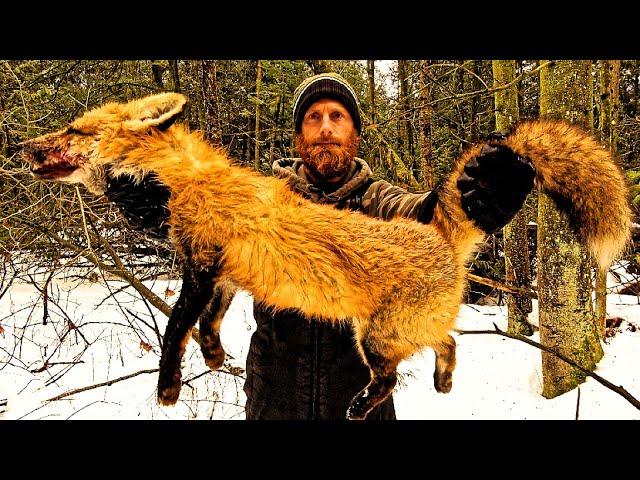 Catch and Cook WILD RED FOX!!! | PRIMITIVE BOW DRILL FIRE | EATING FOX MEAT