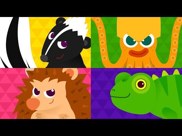 Stinky Skunk Fart  | Sing Along with Animals | Animal Songs | Tidi Songs for Children TidiKids