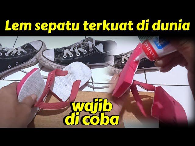 Lem sepatu terkuat di dunia