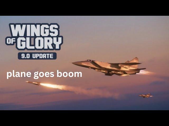 The BEST Combat Aircraft Simulator on Roblox? | Wings of Glory