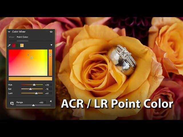 How to use the new Point Color tool in ACR