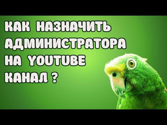 КАК НАЗНАЧИТЬ АДМИНИСТРАТОРА НА YOUTUBE КАНАЛ ?