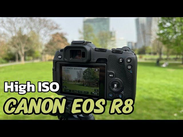 High ISO on Canon EOS R8: Tips for Low Light Photography