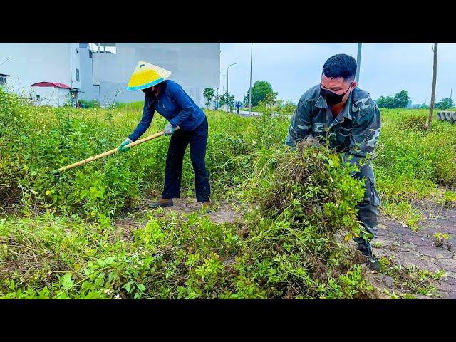 Mowing Overgrown Lawn Handling Weeds on the Sidewalk Using Basic Tools Clear Up BN99