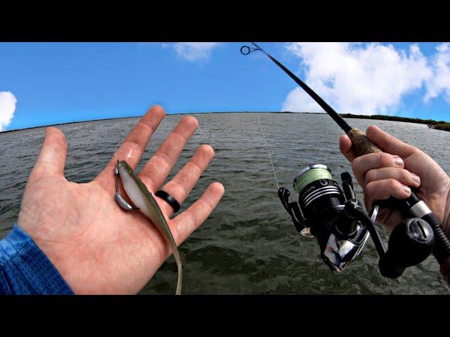 Fishing Soft Plastic Jerkbaits for Saltwater Snook and Redfish