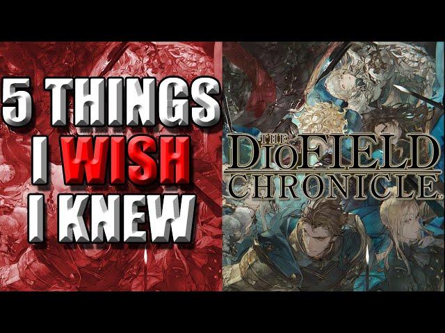 5 Things I Wish I Knew Before Starting DIOFIELD CHRONICLE