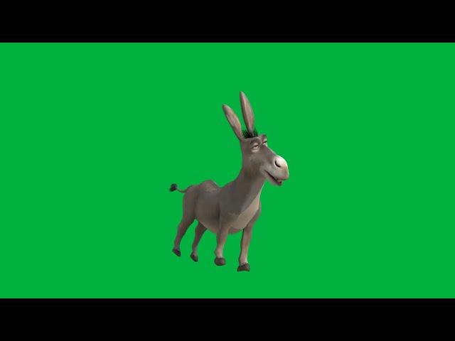 Shrek's Donkey Rocking & Undulating in Front of a Green Screen