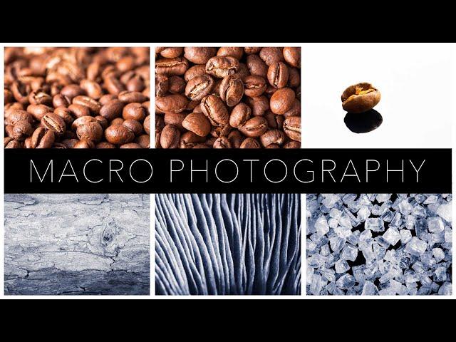 A Complete Guide to Macro Photography