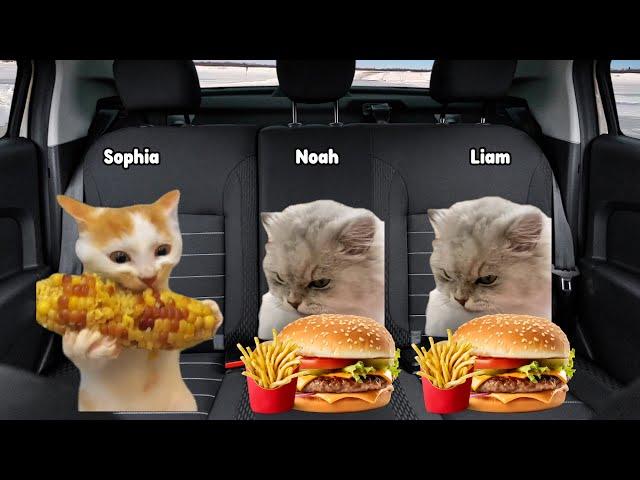 Cat Memes Family Road Trip in the US Part 2