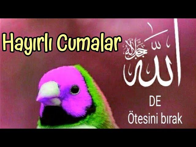 EN YENİ EN GÜZEL  CUMA MESAJLARI  RESİMLİ  DUALI  WHATSAPP DURUM