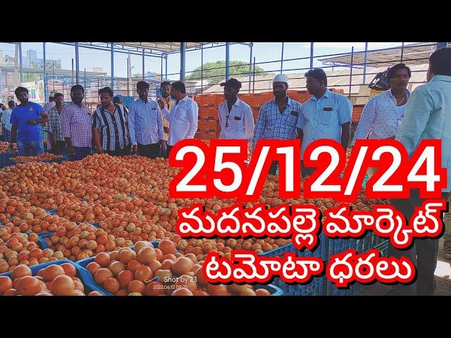 25-12-24 Madanapalle Tomato Market price Today || Today Tomato Market Rate in Madanapalle #today