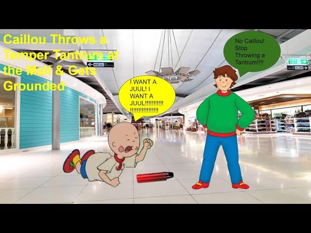 Caillou Throws a Temper Tantrum at the Mall & Gets Grounded