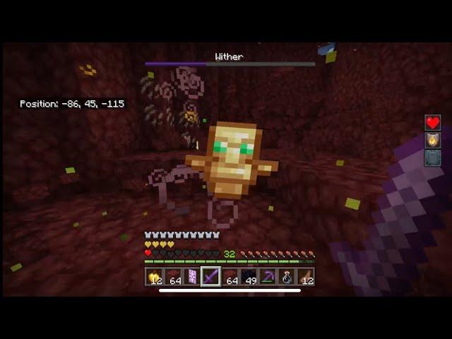 Most Calmest Bedrock Wither Fight