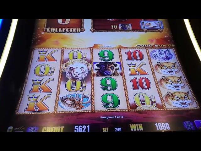 GREAT 4 COINS BONUS With Buffalo And Sunsets Multiplier On BUFFALO GOLD Slot - SunFlower Slots