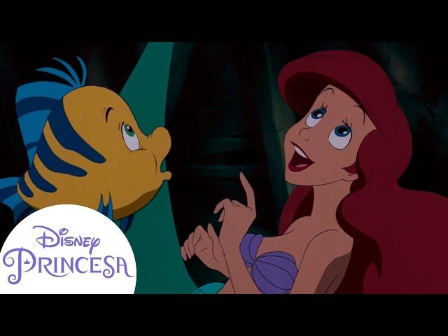 Os Melhores Momentos de Ariel e Seus Amigos | Disney Princesa