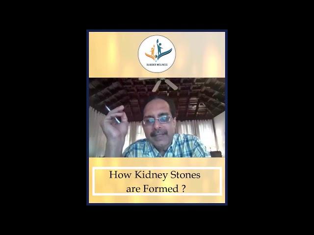 Bladder Wellness Campaign : Dr. Krishnamoorthy advice on Formation of Kidney Stones