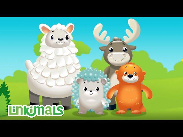 Linkimals™ | Opposites Song 1h+ Songs for Kids | Cartoons for Kids