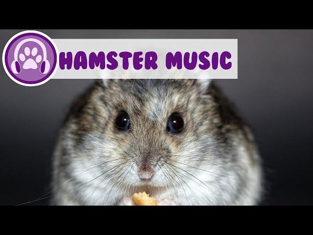 HAMSTER MUSIC - Songs to Make Your Hamster Come to You!