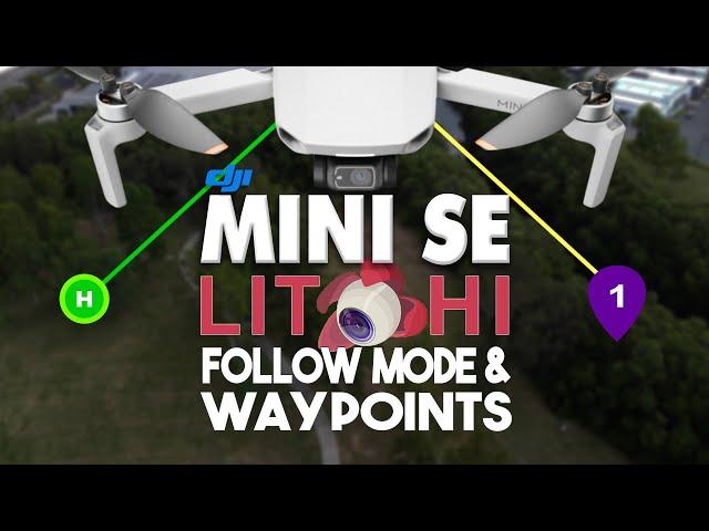 DJI Mini SE - Follow Me Modes & Waypoints - Litchi Review | DansTube.TV