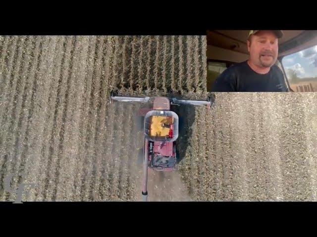 Griggs Farms LLC GTS X10 Twelve Row Cornhead Review