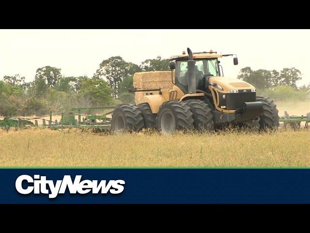 What does the future of farming look like in Canada?